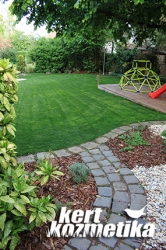 Árnyékos hátsó kertrész (29)